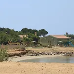 Minies Miniá